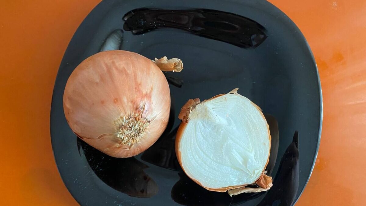 Фото: ИА SM.News📷
