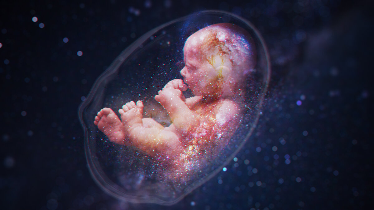 Источник:  taynyplanet.mirtesen.ru