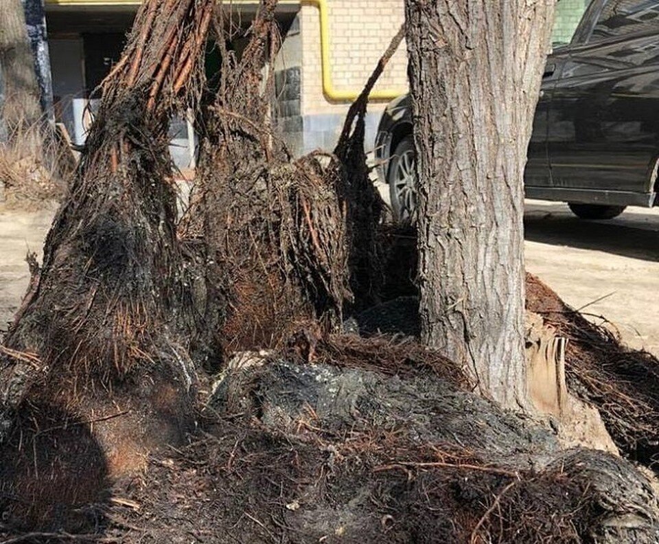     Фото: Концессии водоснабжения.