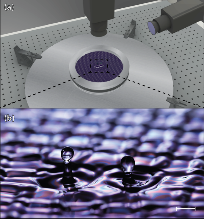   Valeri Frumkin et al. / Physical Review Letters, 2023