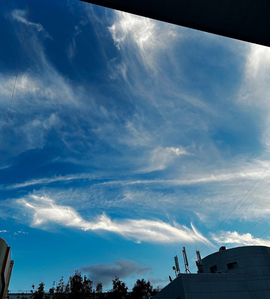 Мои фотографии сейчас