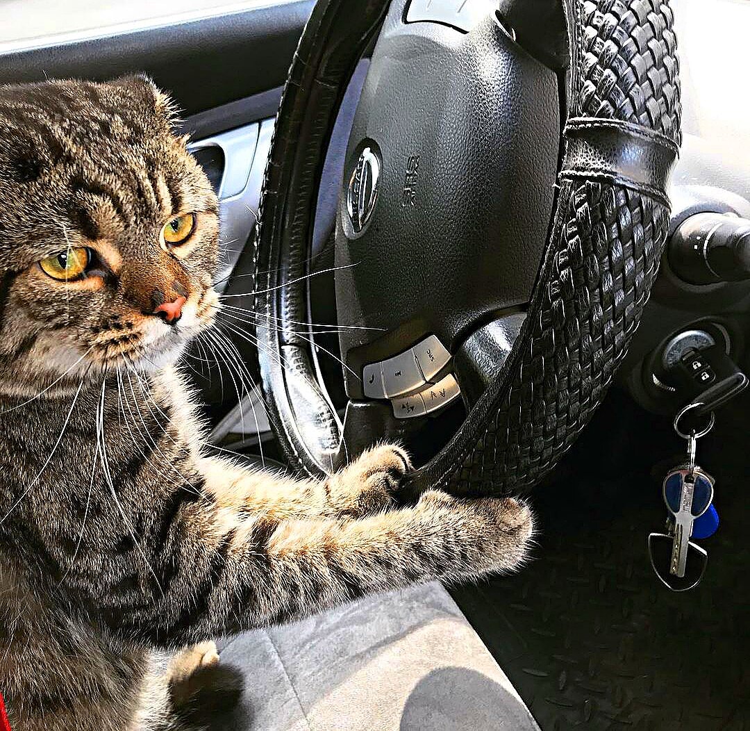 Если вы кипите от раздражения, стоя в пробках, и готовы уничтожить тех, кто пытается вас обогнать, вы сильно рискуете, садясь за руль