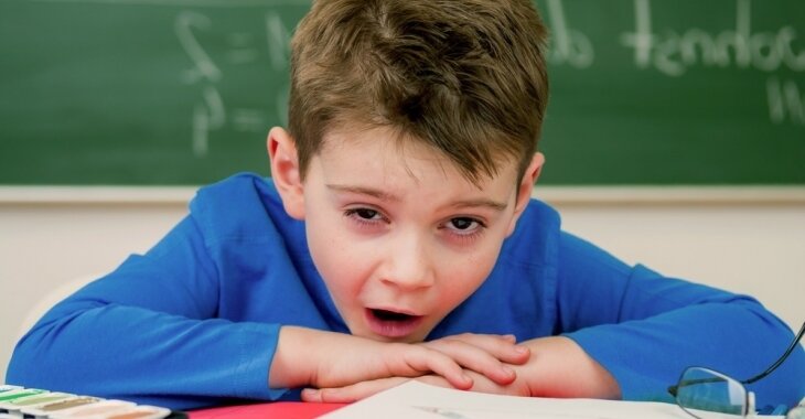 Шесть дней обучения