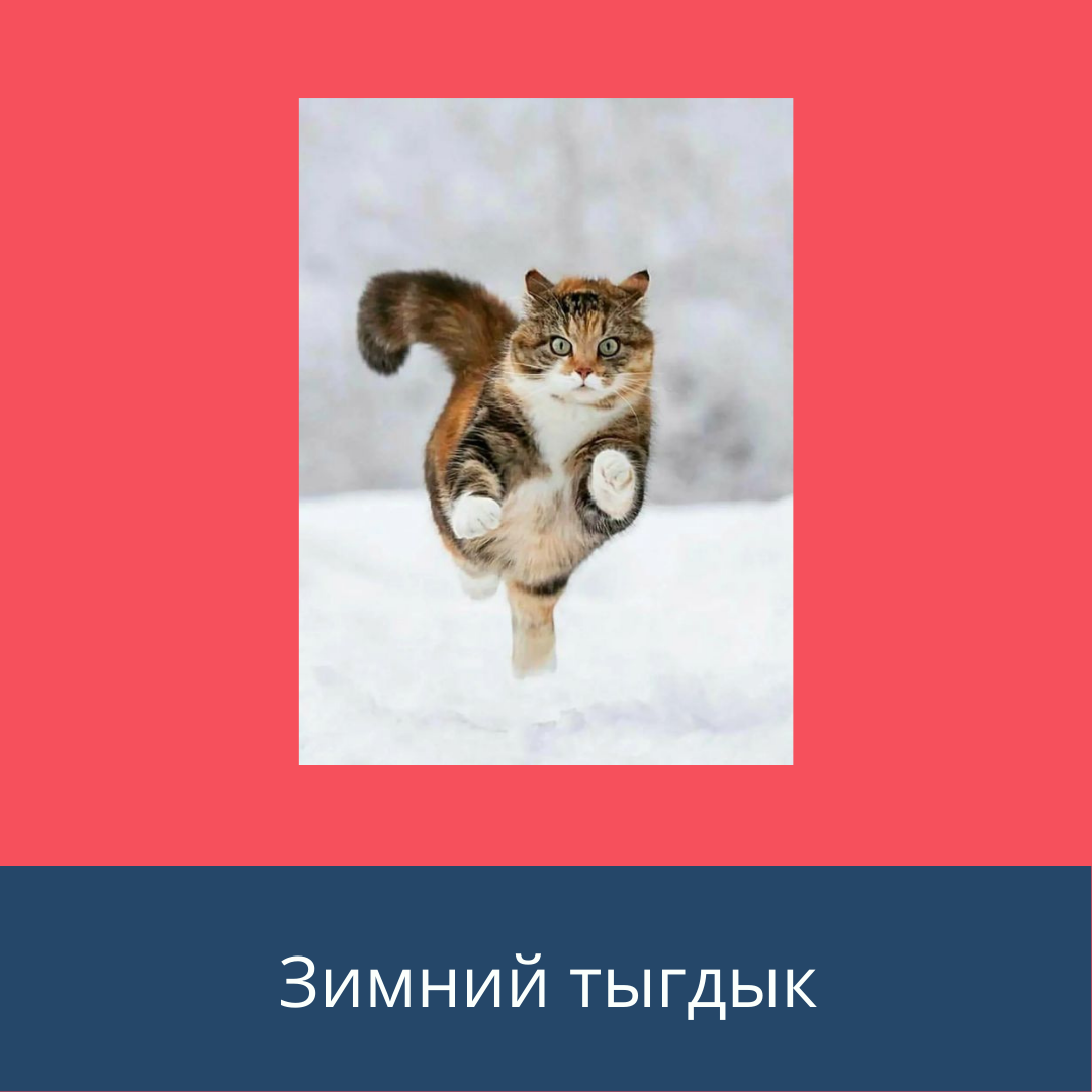 КОлбаса...жди меня...и я приду....