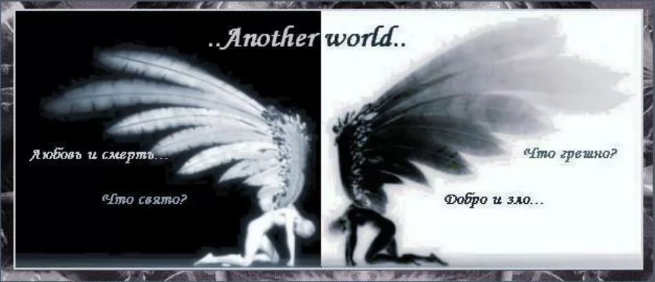 Фото из открытых источников