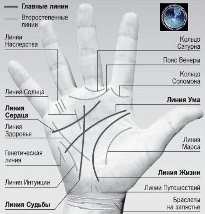 Линия Марса и её влияние на жизнь человека 