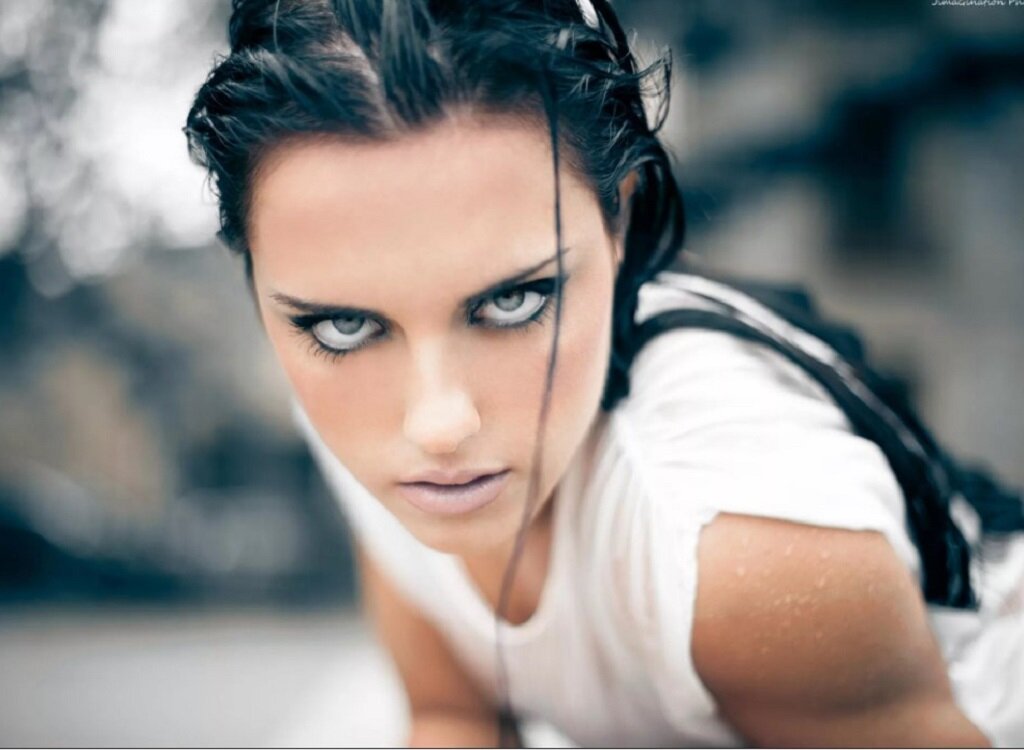 Фото из свободного Интернета