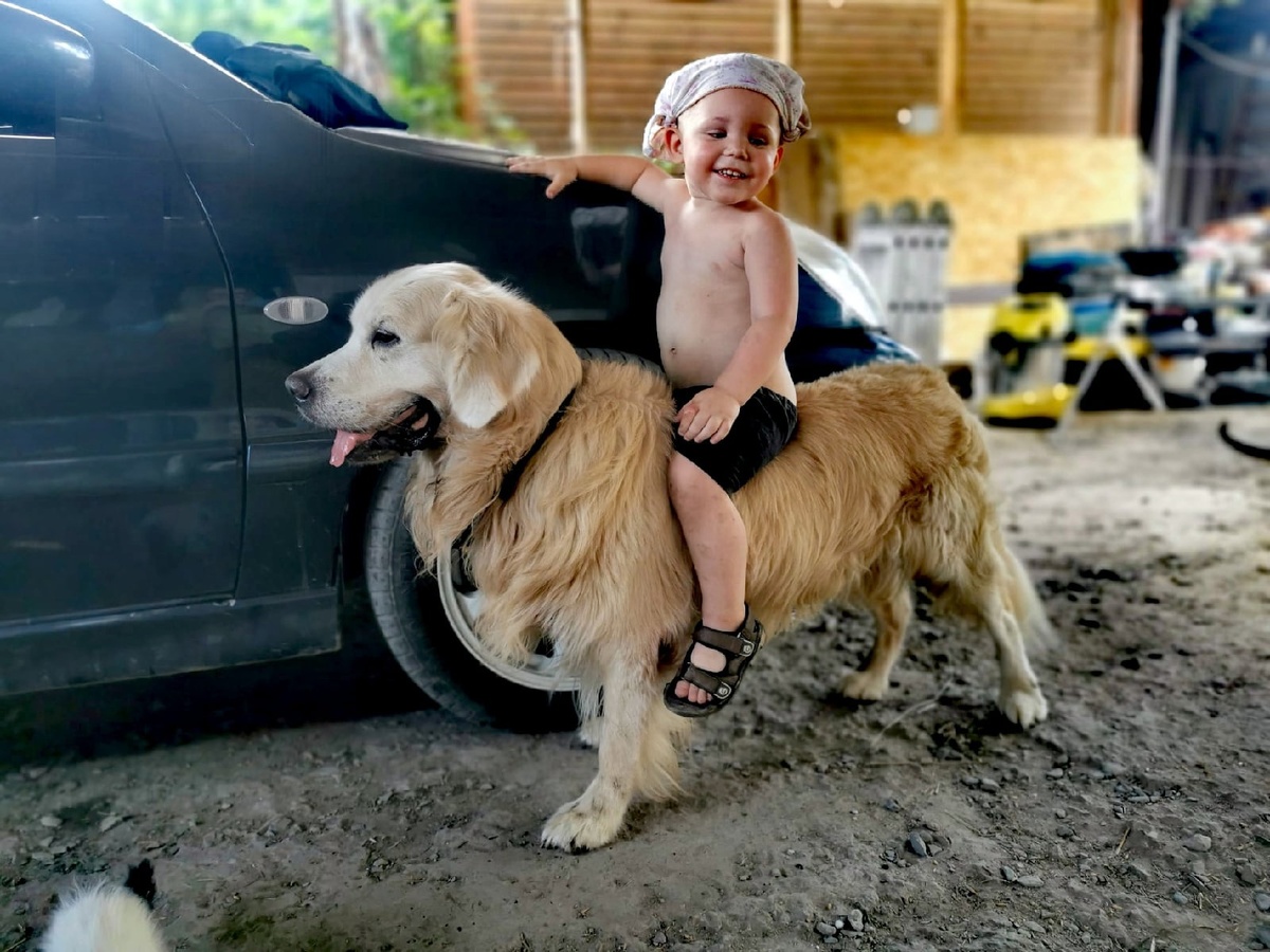 Развлечения каждый день.