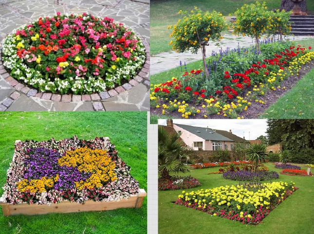 Rectangular Flower Bed: Best Photo Options (15 Ideas)