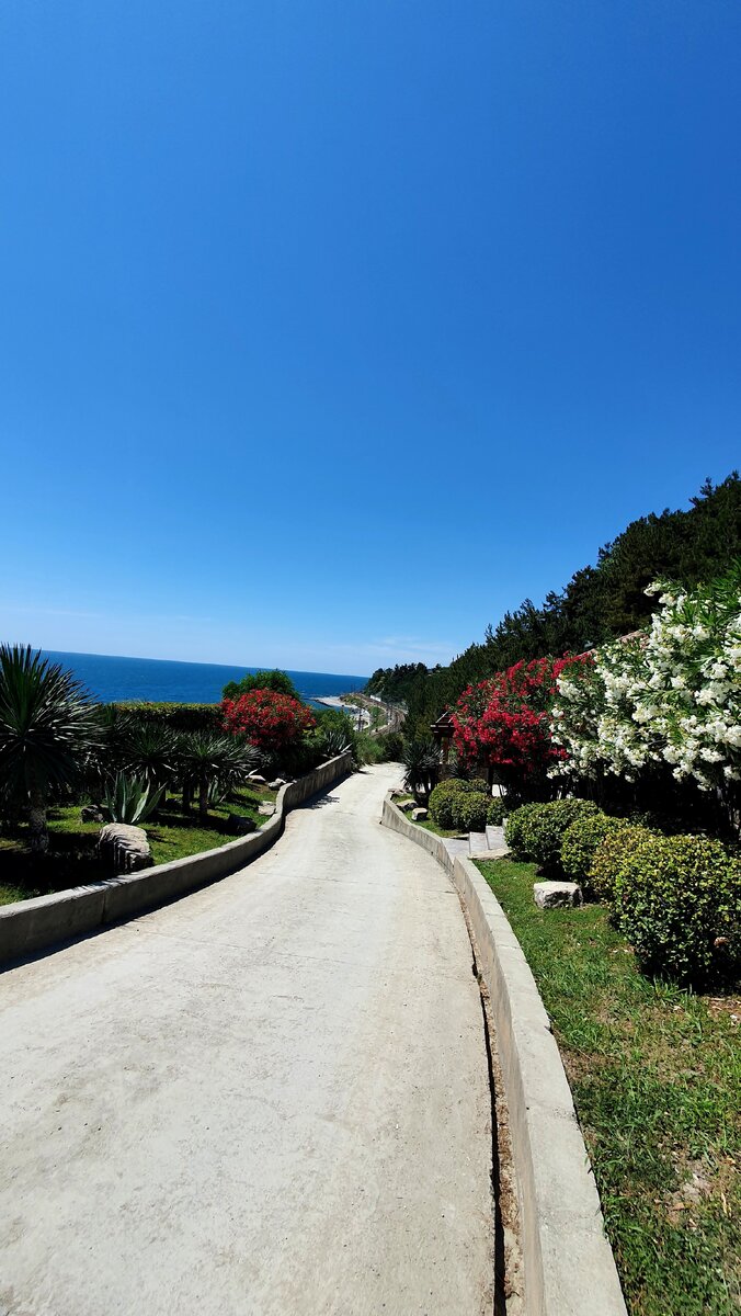 Дорога к дикому пляжу