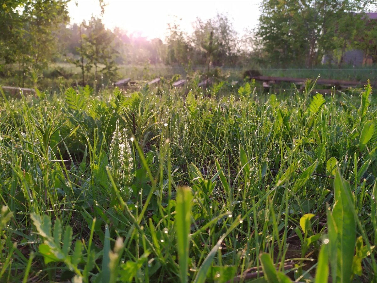 листай карусель