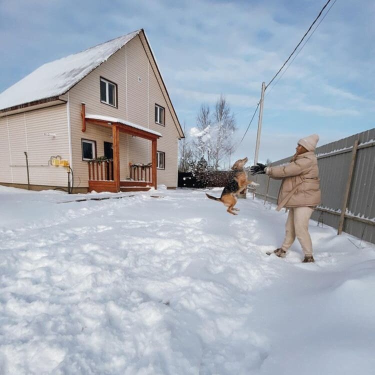 Бабушкина фазенда