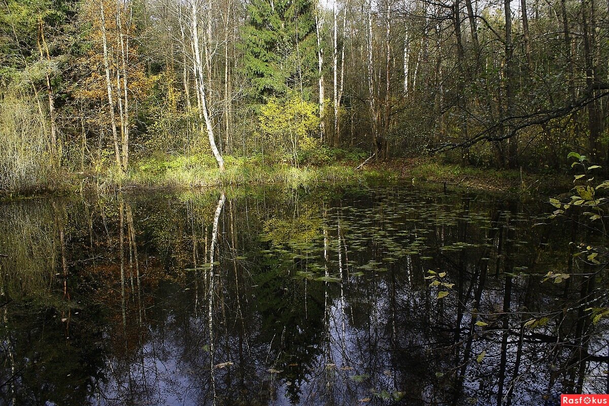 Еще один омут