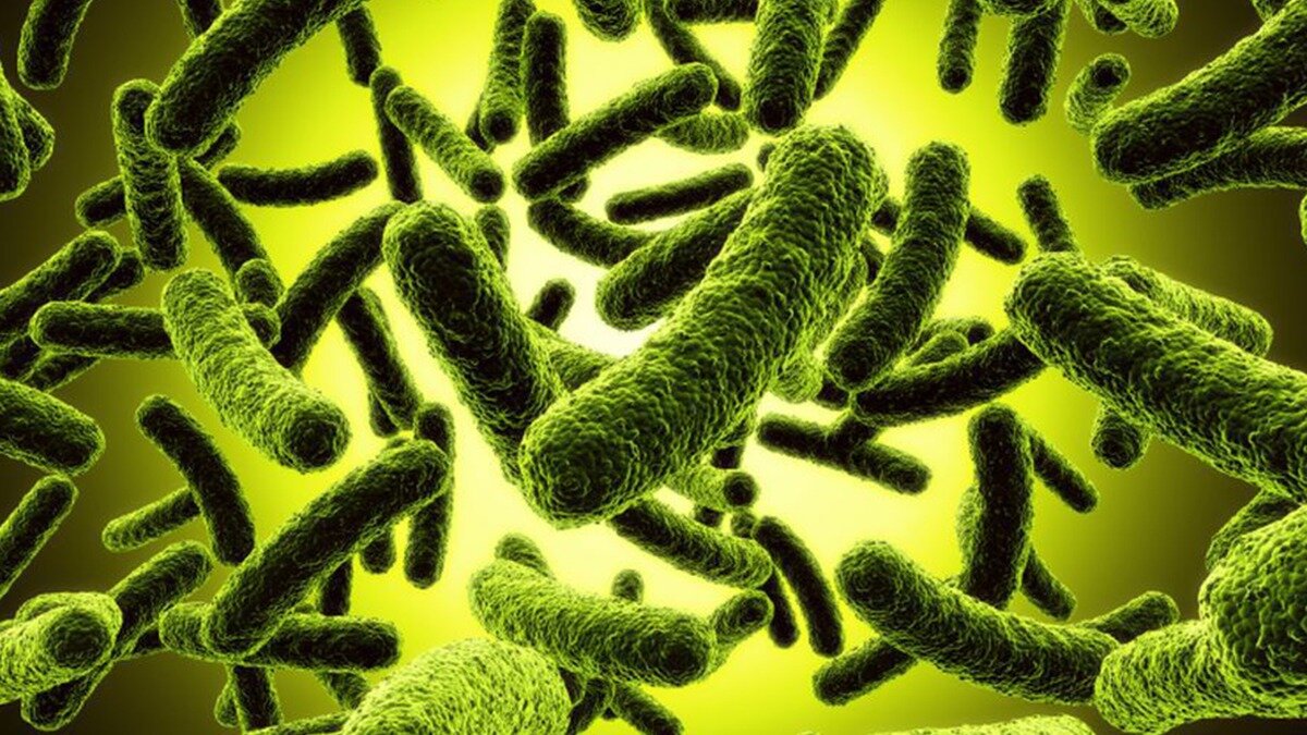 Фото:elytis-hospital.ro Впервые штамм B.1.1.7 был зарегистрирован в Англии, но спустя время был обнаружен практически по всему миру.