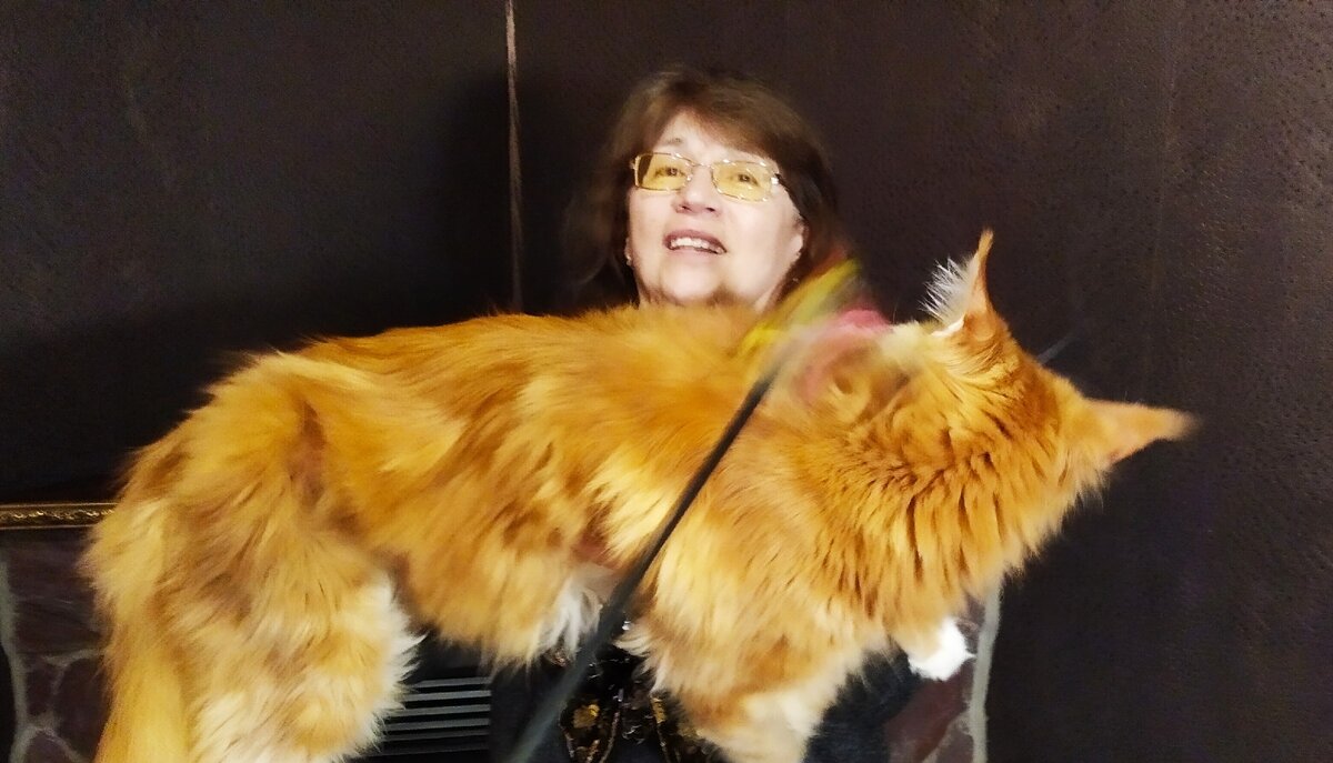 Бабушка и мейн кун Степа.