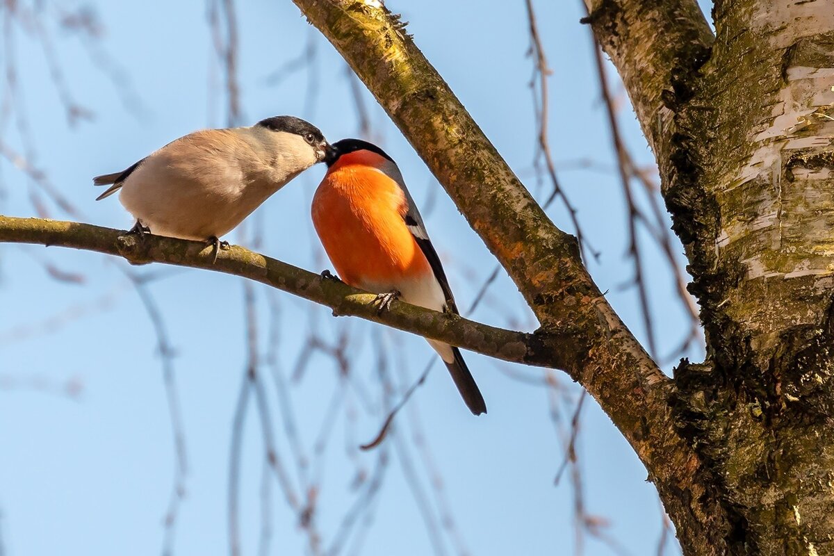 #пробуждение 