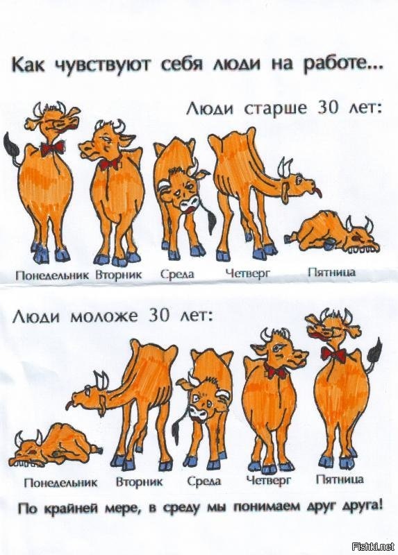 картинка с сервиса яндекс-картинки. Но она в точности показывает нюансы самочувствия моего сына и меня по дням недели))) Лучше и не придумаешь.