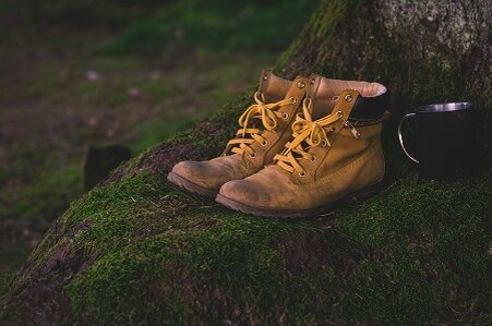 фото из открытого источника