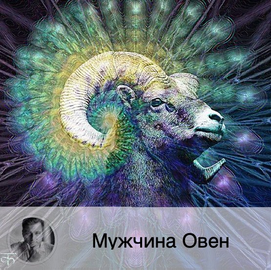 Подписывайтесь на наш канал, друзья!
По вашим просьбам начинаю серию постов - описание знаков зодиака. Ранее я писал про женщин, сейчас продолжу про мужчин. Напоминаю, что полноценную, очень подробную личную совместимость вы можете заказать у меня, как и много чего другого интересного, кликайте по ссылке в описании профиля 😉 Поехали (не забудьте сказать «спасибо» вашим лайком) Мужчина-Овен готов преодолеть любые трудности на пути к сердцу избранницы, а она должна быть заинтересованной, но недоступной.
Достоинства
Среди достоинств мужчины-Овна можно выделить главное – уверенность в себе и в том, что нет ничего невозможного. Он искренне верит, что любые препятствия преодолимы. У него всегда есть цель, которая достигается без привлечения сил извне: в основном мужчина-Овен рассчитывает на себя. Прекрасно мыслит в критические моменты, быстро и чётко принимает решения. Овен щедр, всегда готов помочь и материально, и советом, и связями. Если идёт в гости, то никогда не будет с пустыми руками.
Недостатки
Уверенность Овна в своих силах имеет противоположную сторону: он часто бывает эгоцентричен. Мужчина-Овен не будет слушать ничьих советов, потому что сам знает лучше. Рано начинает стремиться к независимости. Очень упёртый, очень активный, поэтому те, кто не поспевает за ним, просто остаются у обочины. Не может смириться с любыми отягощающими рамками. В основном Овен щедр, но одновременно бывает скуп, это на него порой находит такое настроение, когда не хочется ни давать в долг, ни как-либо потратиться.
Что ценит в женщинах
Мужчина-Овен сам по себе – очень страстная натура. И вполне может влюбиться с первого взгляда. Очень обаятельный, считает, что достоин любой женщины, которая ему понравится. А нравится ему женщина, в которой есть загадка. Она должна быть непосредственной, непредсказуемой, сексуальной. Мужчина-Овен любит женщин с идеальными параметрами.
Овен предпочтёт, чтобы его избранница обладала умственными способностями выше среднего, а также была раскрепощена. Она должна быть отзывчива, добра, а также желательно, чтобы могла разделять его интересы.
Избранница Овна должна быть хорошей хозяйкой, отлично готовить.
Как ему понравиться?
Если вы хотите привлечь внимание Овна, то можете начать делать ему комплименты. Причём как наедине, так и в обществе других людей. Однако явно льстить не стоит. Можно даже что-то подарить. Но здесь важен баланс. Легкодоступны девушки Овну не нравятся. В вас должна быть изюминка, загадка. Вам стоит следить за тем, что вы говорите. Поведение – только достойное. Никогда его не перебивайте. И, конечно, ни в коем случае не навязывайте своё общество. Покажите, что он вам интересен, и пропадайте. Пусть он сам вас добивается. Неприступность – это хорошая тактика. Обязательно ухаживайте за своей внешностью, будьте начитанной. Не кажитесь сильно самостоятельной и независимой, даже если так и есть на самом деле. Овну больше по душе, если женщина нуждается в защите, но и в обиду себя тоже не давайте. Будьте женственной, нежной, ласковой и, конечно, искренней. Не пытайтесь контролировать Овна. Но проявите заботу и заинтересованность.
