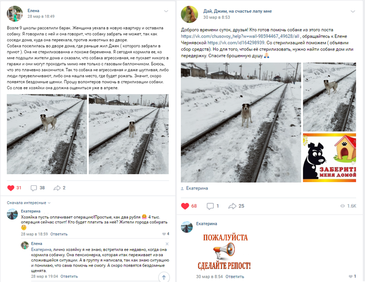 пост взволновал людей. Обсуждение истории было очень оживленным 