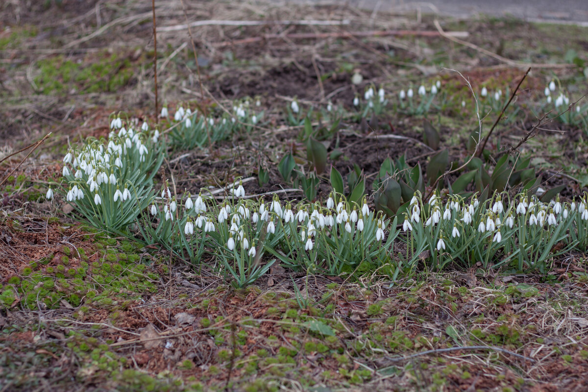 Про нашу весну, горячий чай для уставшей мамы, и вязаные подушки. 10 ...
