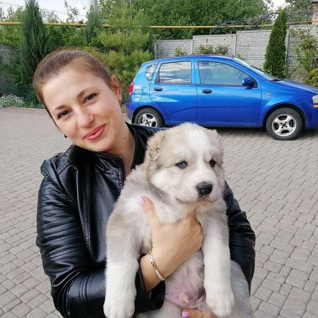 Счастье от покупки щенка зашкаливает. Дамиру 3 недели