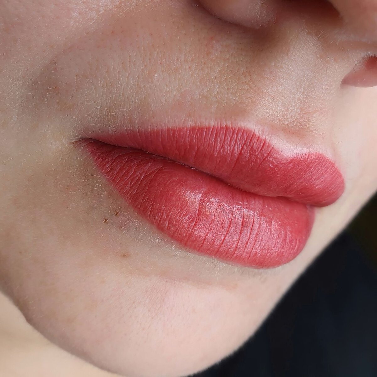 свежий перманентный макияж; из архива Студии Аллы Ромазановой