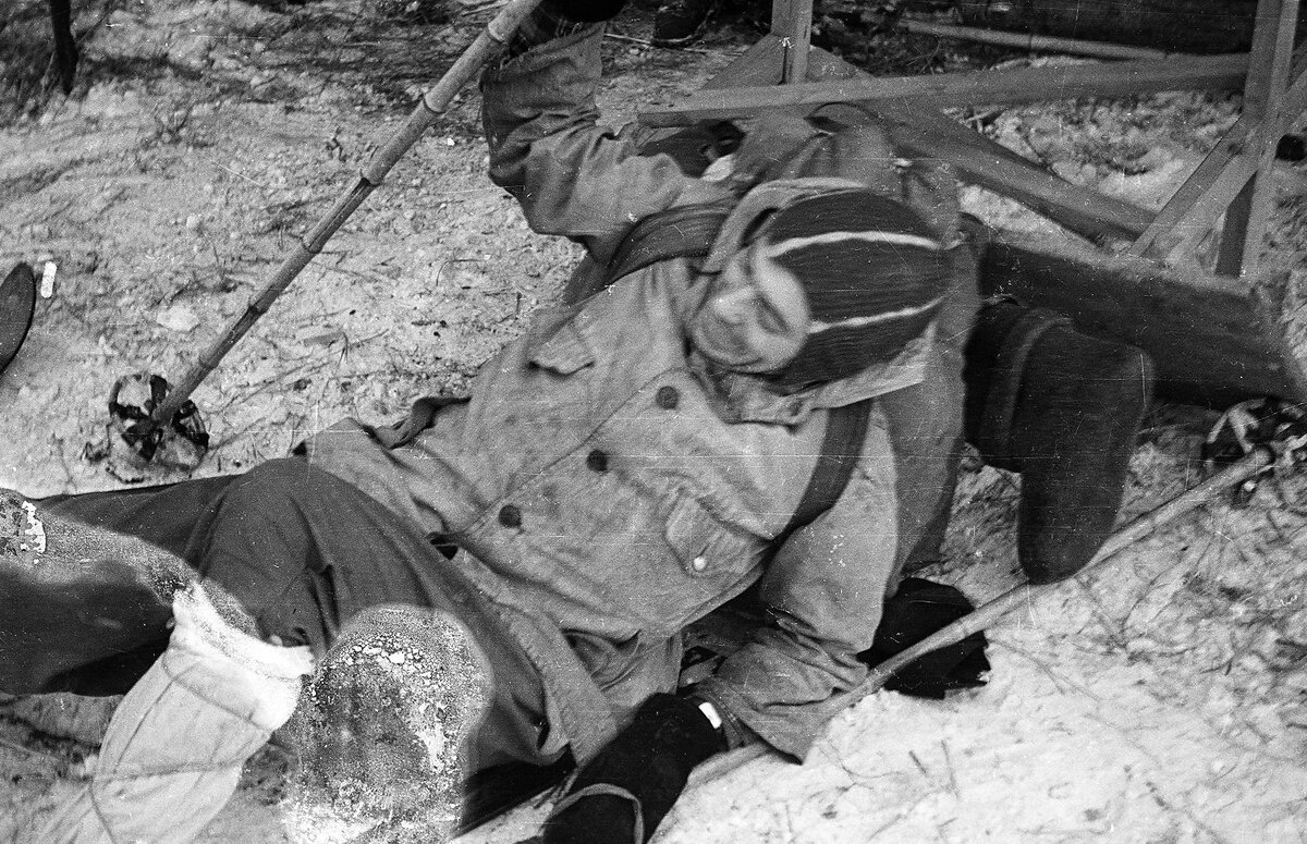 Николай Тибо Бриньоль 