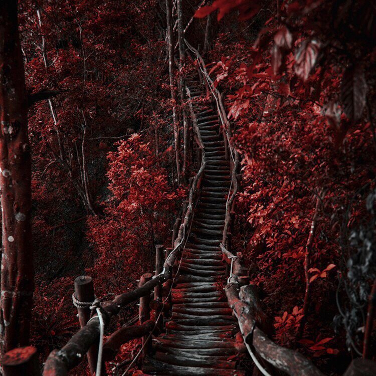 Картинка взята из интернета. 