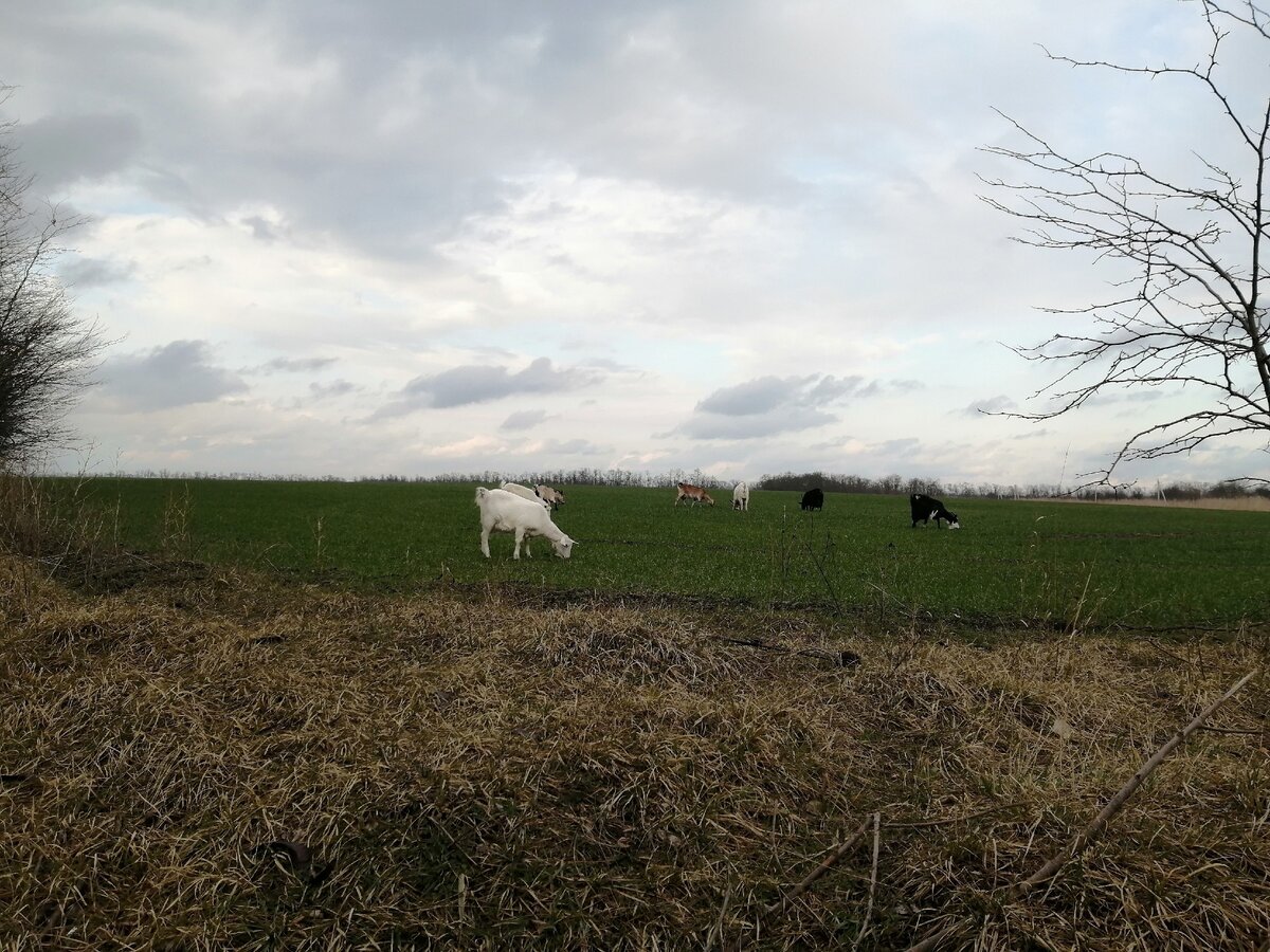 К сожалению фотографий Маруси нет