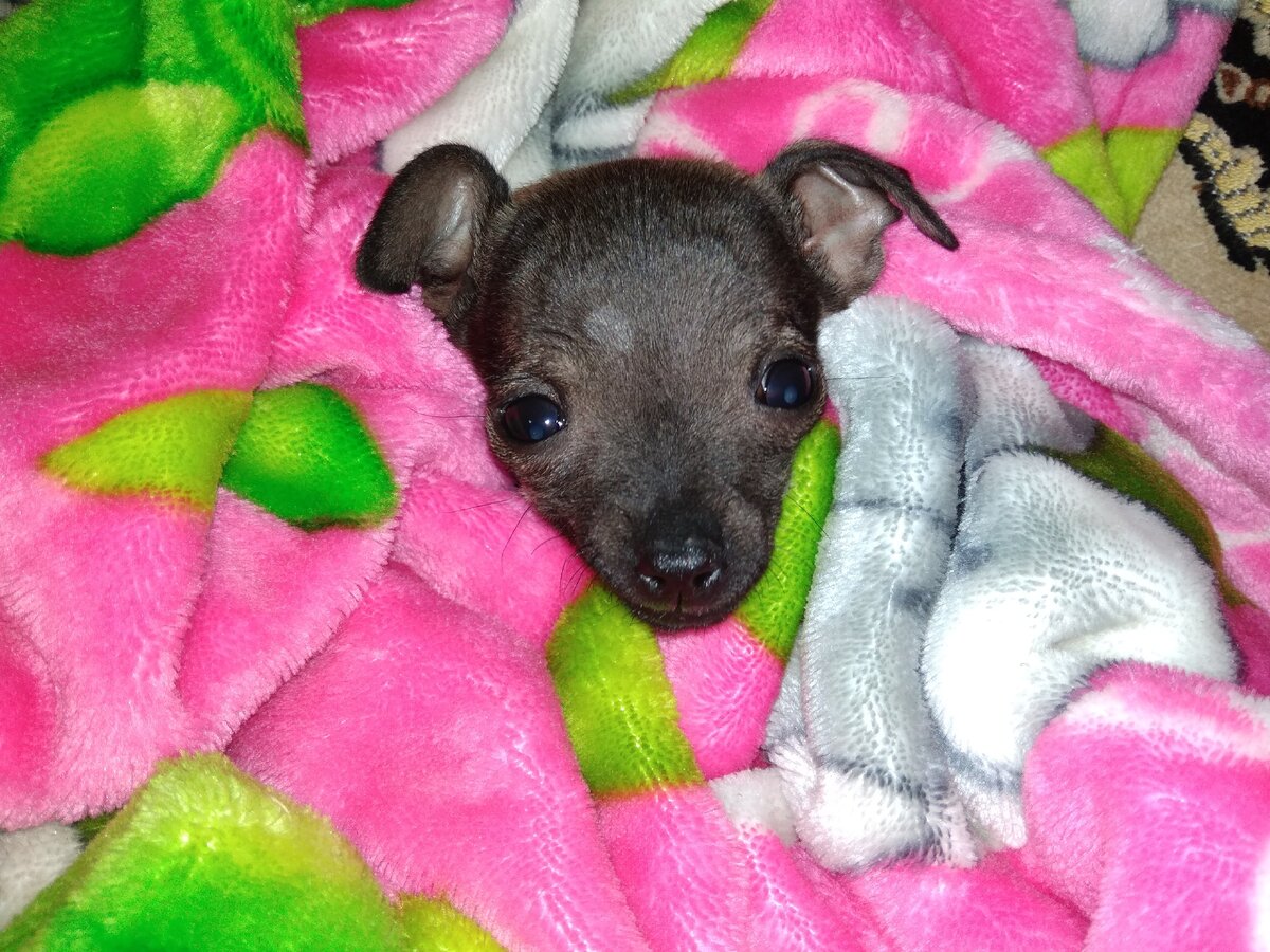 Нюша 3 месяца