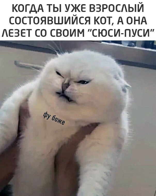 Все изображения взяты с открытых источников