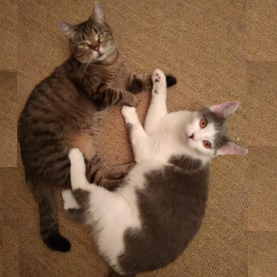 А мы чё? Мы - ничё!