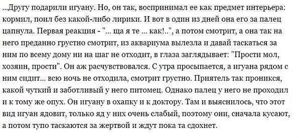 Очень напомнило эту историю 