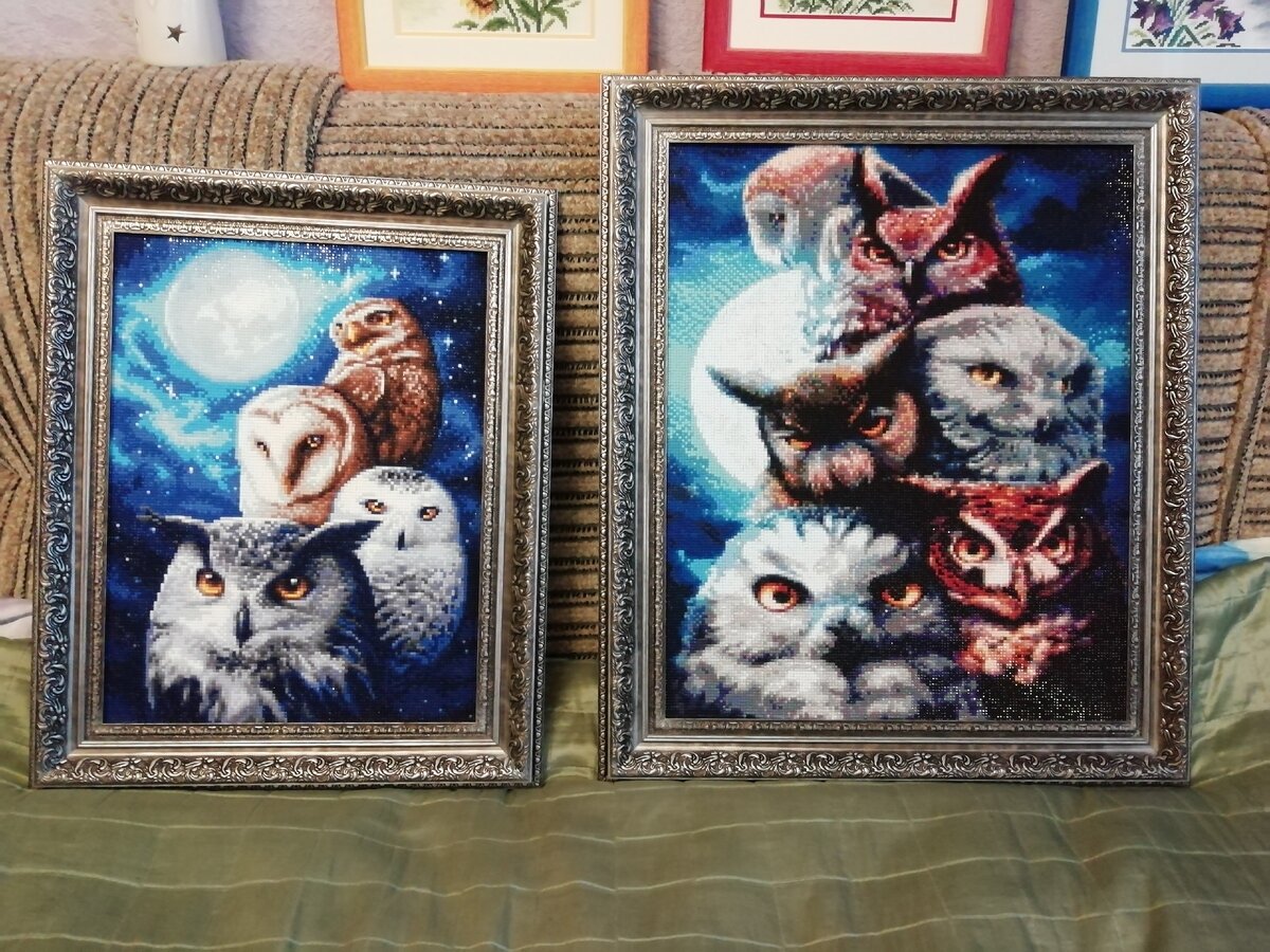 Ночные совы