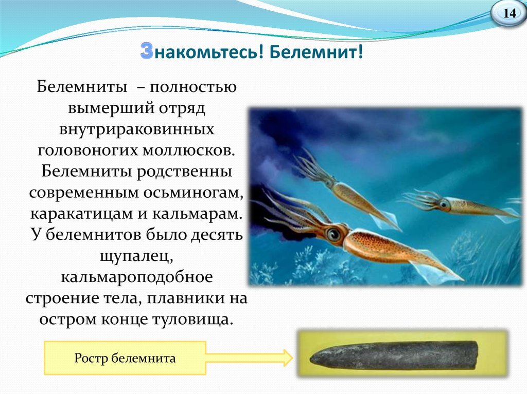 Чем занимается ихтиолог окружающий для 2 класса