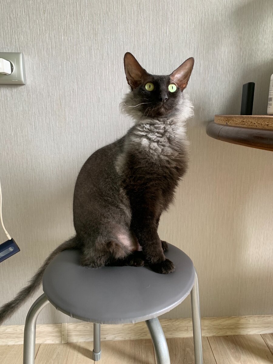 На Пушкина похож