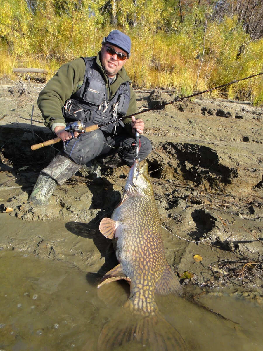 Зачем столько сложностей? Рыбу нашел - поймаешь. А не нашел... | Max Fishing  | Дзен