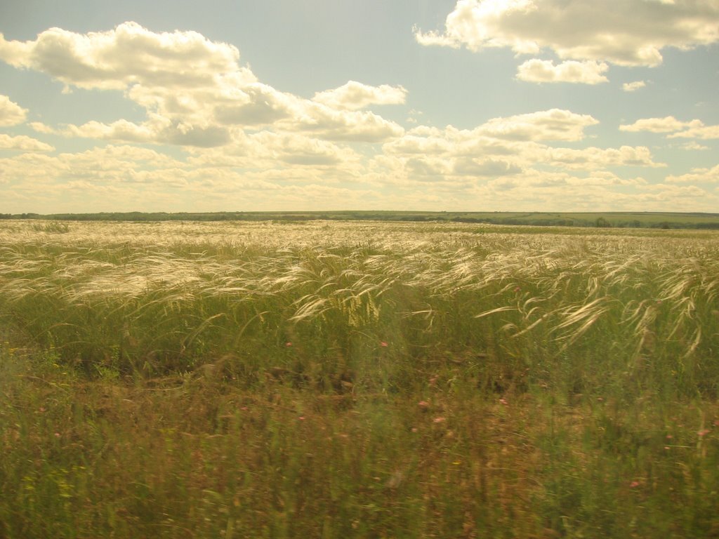 Волжские степи. Донская степь. Донская степь картинки. Волжские степи фото.