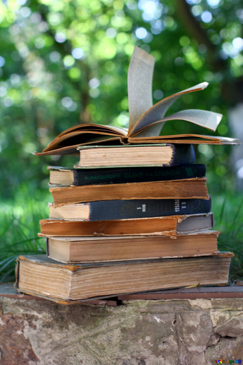 Литература книги картинки