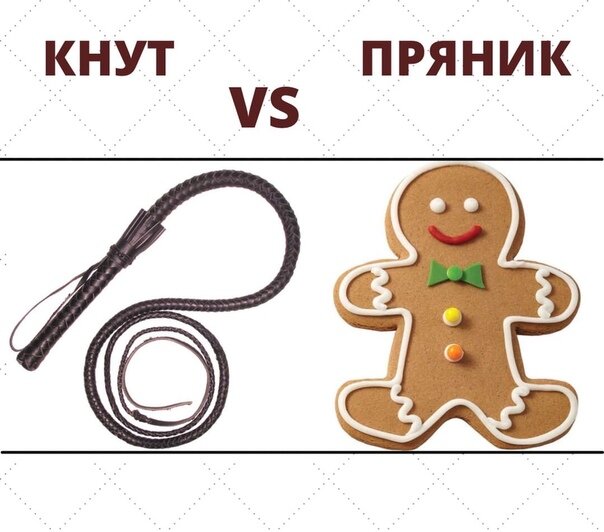 Метод кнута и пряника картинки