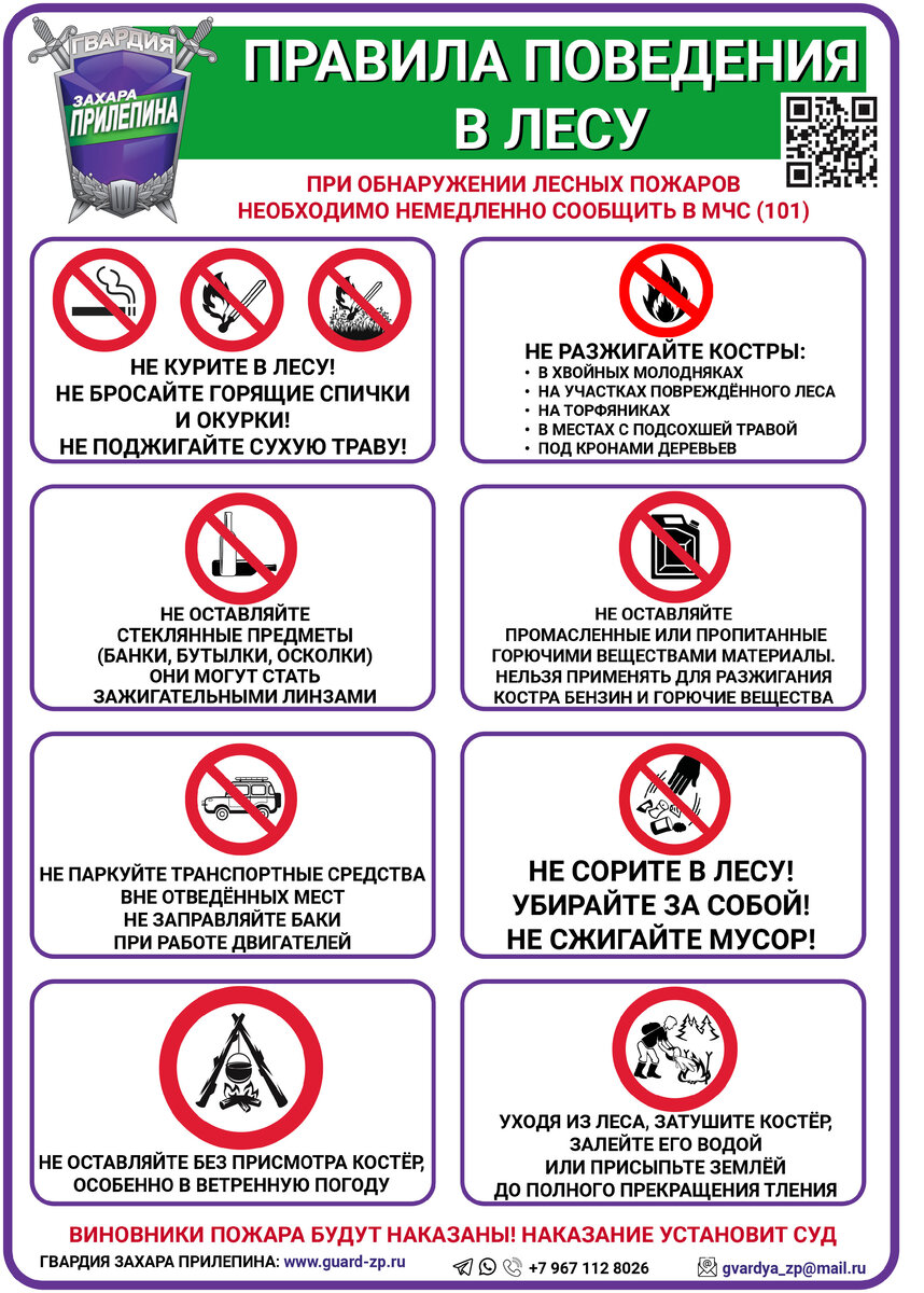 Правила поведения в лесу