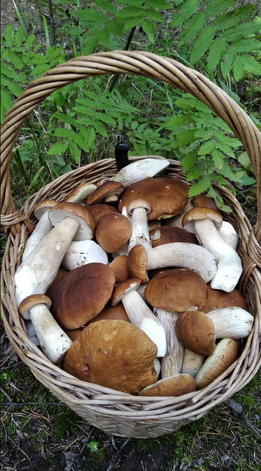 Фото Татьяны Грач