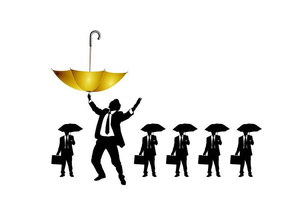 Источник - https://pixabay.com/