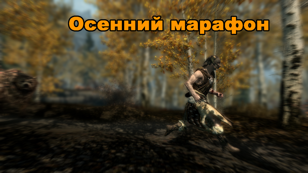 Медведь не очень опытен в фотосессиях, смотрит в камеру :)