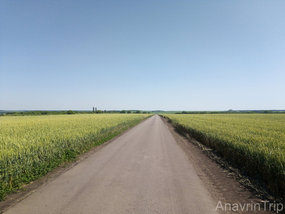 Широка страна моя родная...