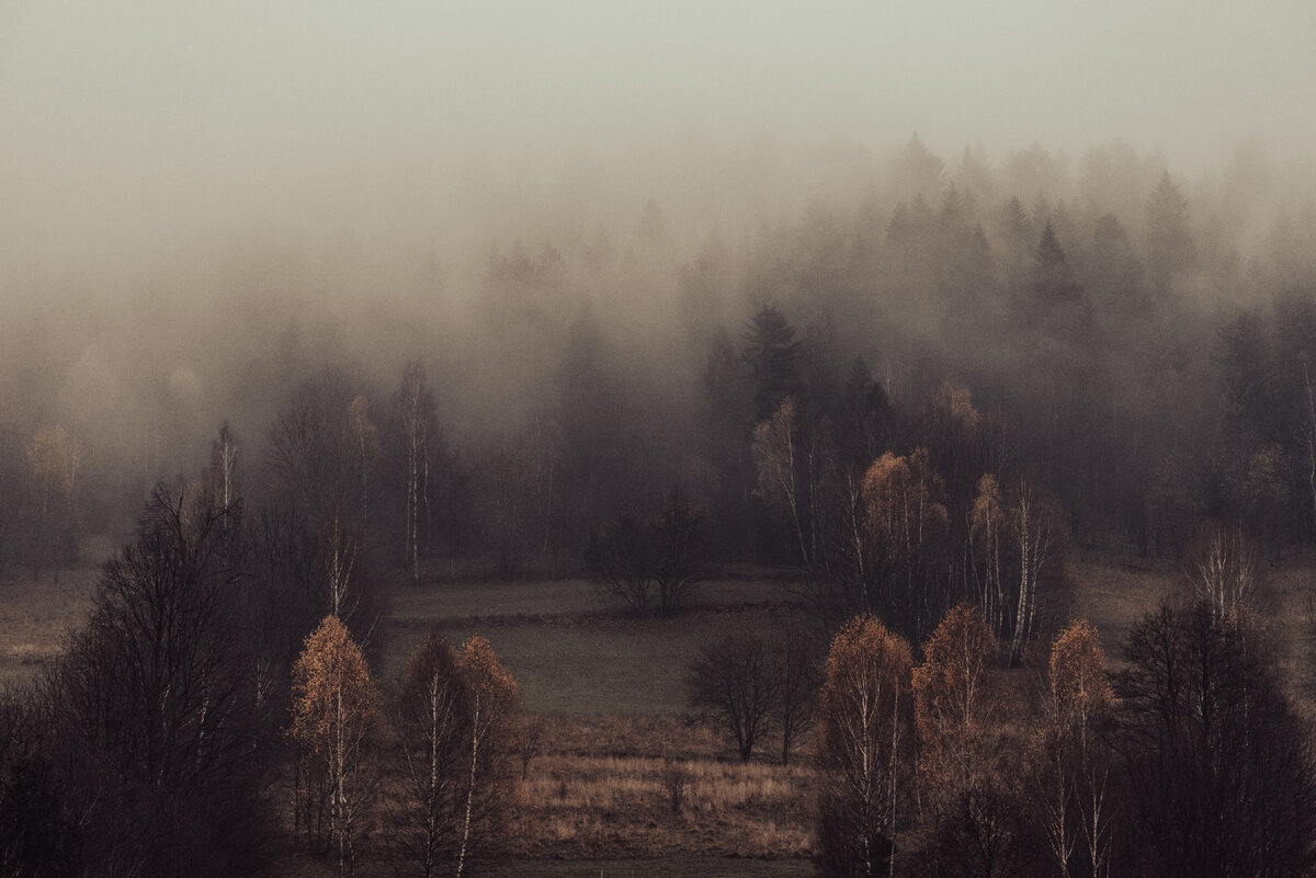 Источник: unsplash.com