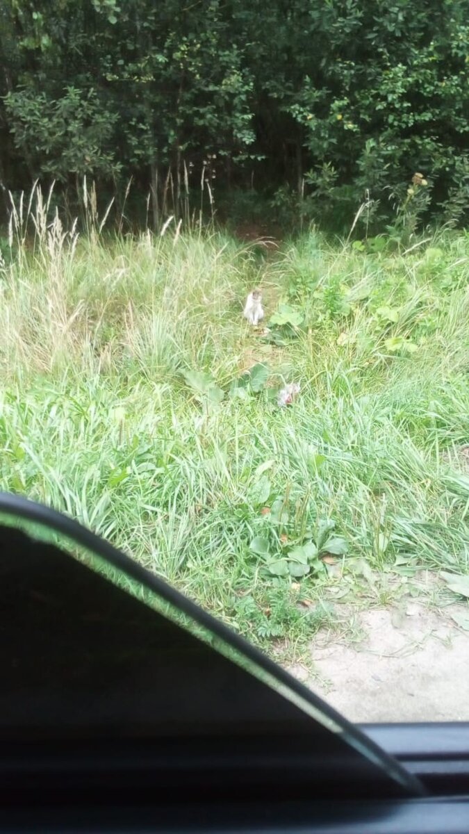 Фото от господина И. 😉