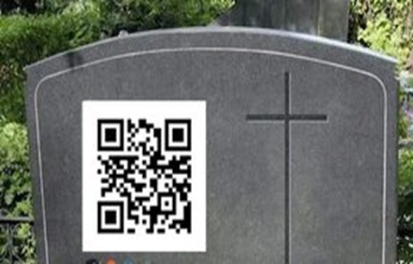 Фото с открытых источников.