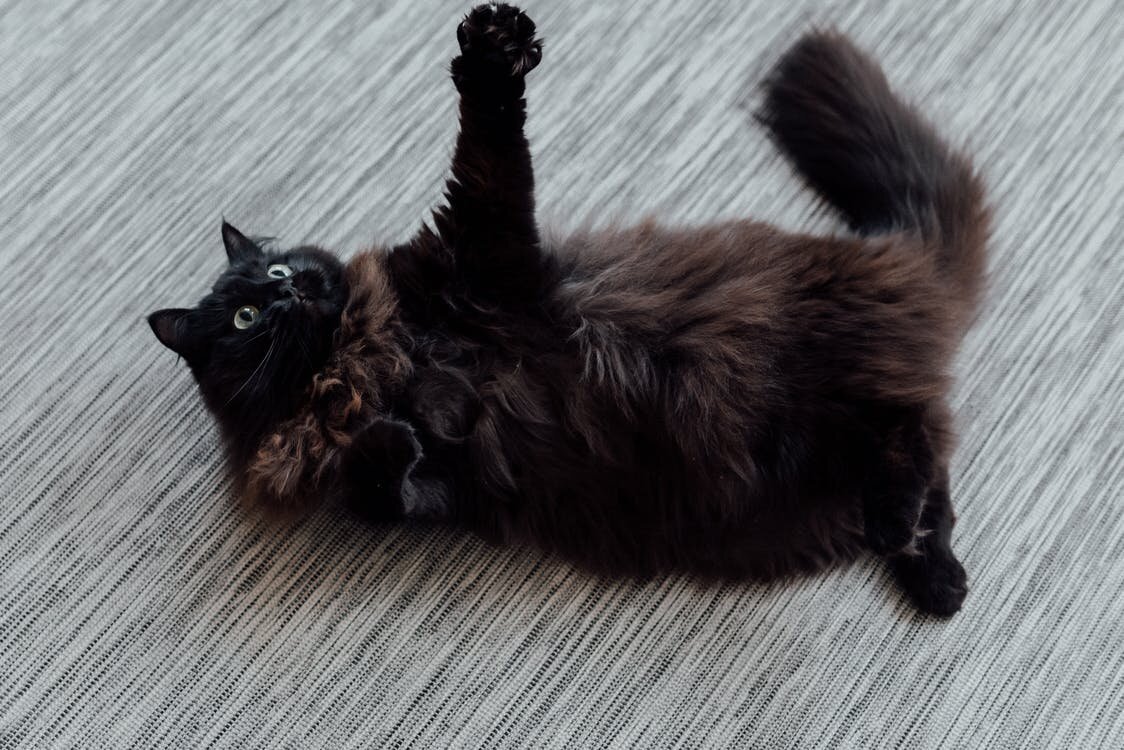 Источник: www.pexels.com